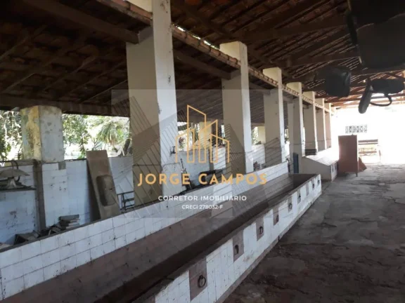 Imagem FA-25269 - FAZENDA À VENDA NA REGIÃO DE CRUZEIRO - SP