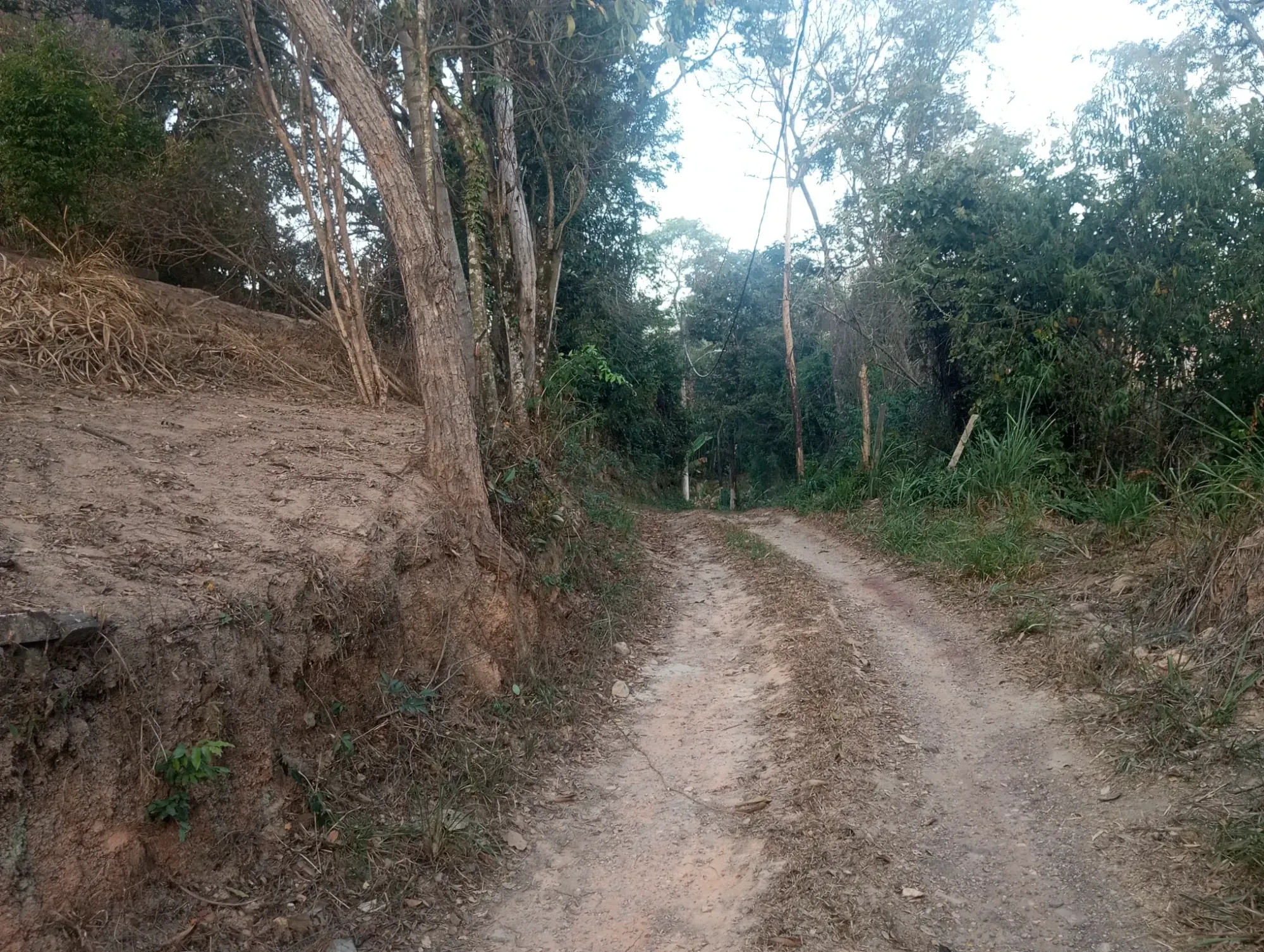 Imagem Chácara com 5 Quartos à Venda, 8.000 m² em Ravenópolis (Ravena) - Sabará