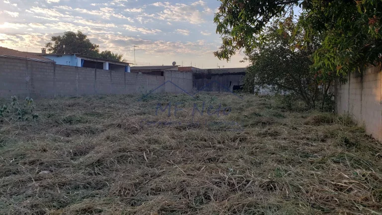 Imagem Terreno Padrão