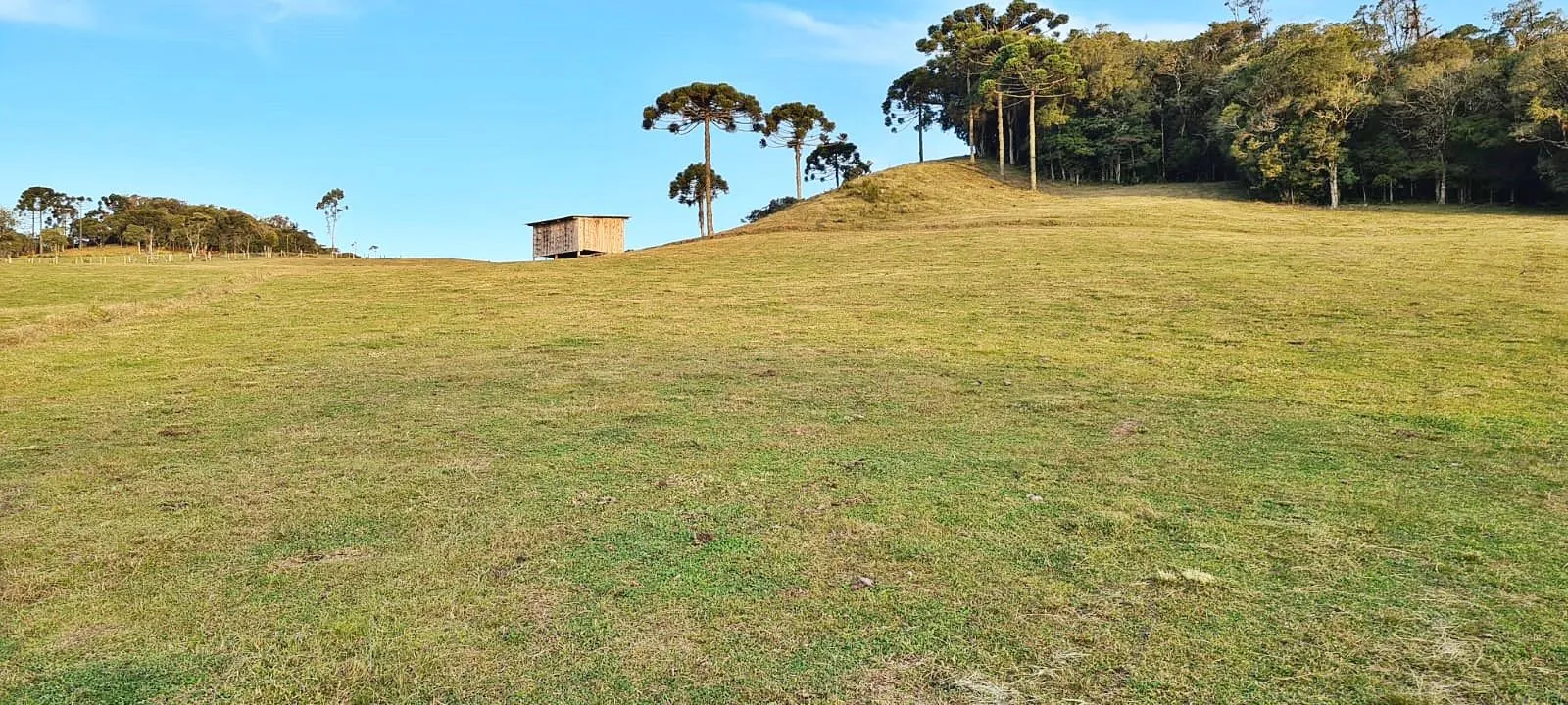 Imagem Oportunidade Única! Terreno com 4 Lagos e Escritura Pública em Rancho Queimado - 27,6 ha