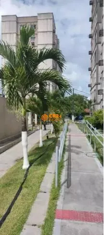 Imagem Venda Apartamento 2 quartos Tejipió