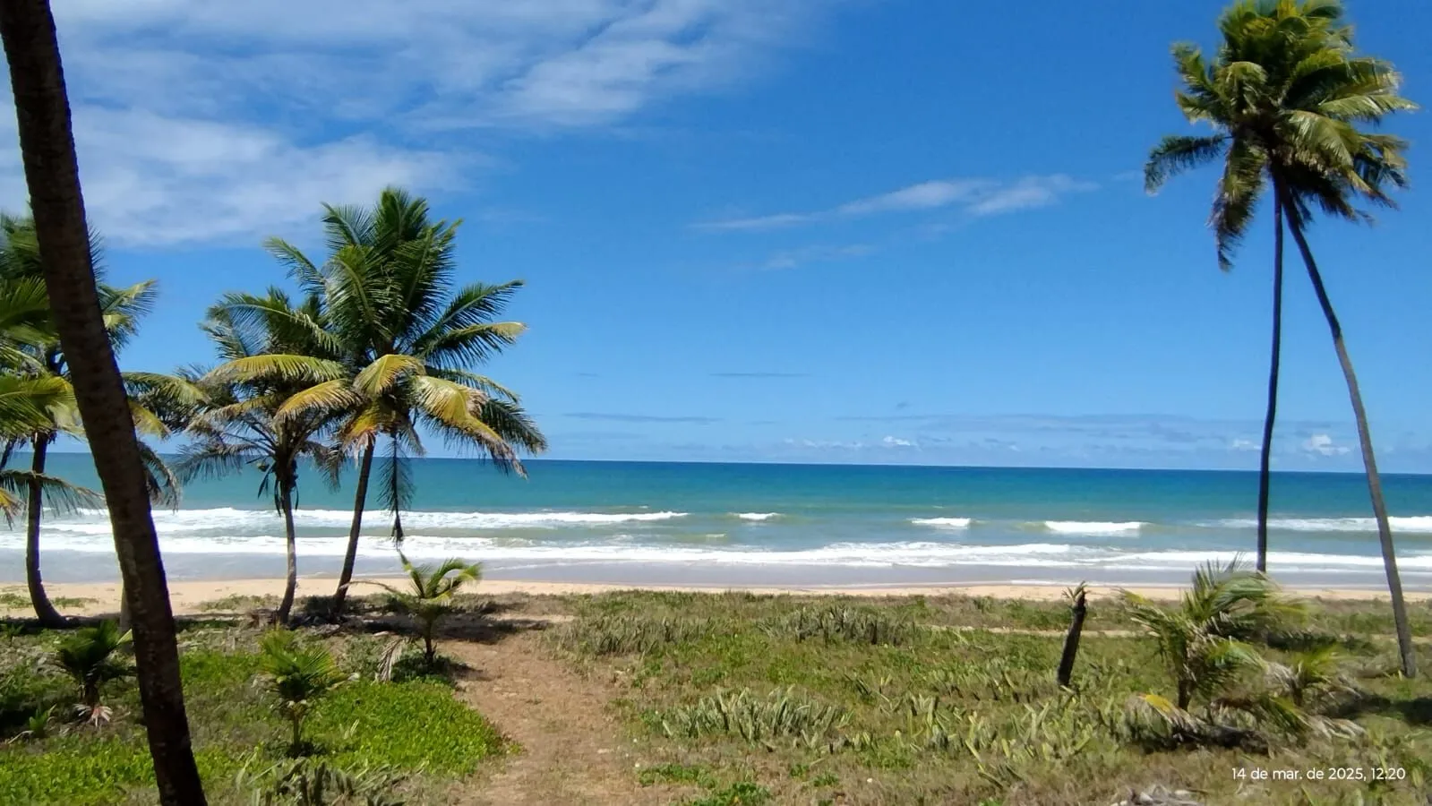 Imagem A sua vida nunca mais será a mesma ao adquirir um lote no Riviera em Praia do Forte, Mata de São João - Bahia
