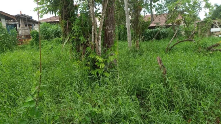 Imagem TERRENO, 592M², BALNEÁRIO DAS PALMEIRAS