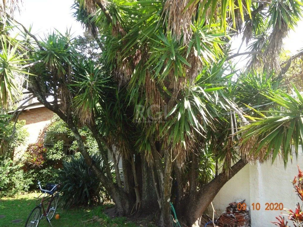 Imagem Casa para Venda - 250m², 3 dormitórios, - Medianeira