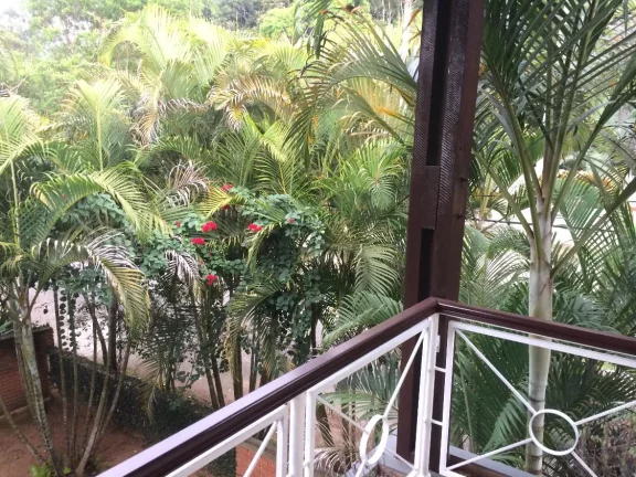 Imagem Casa no Jardim das Palmeiras