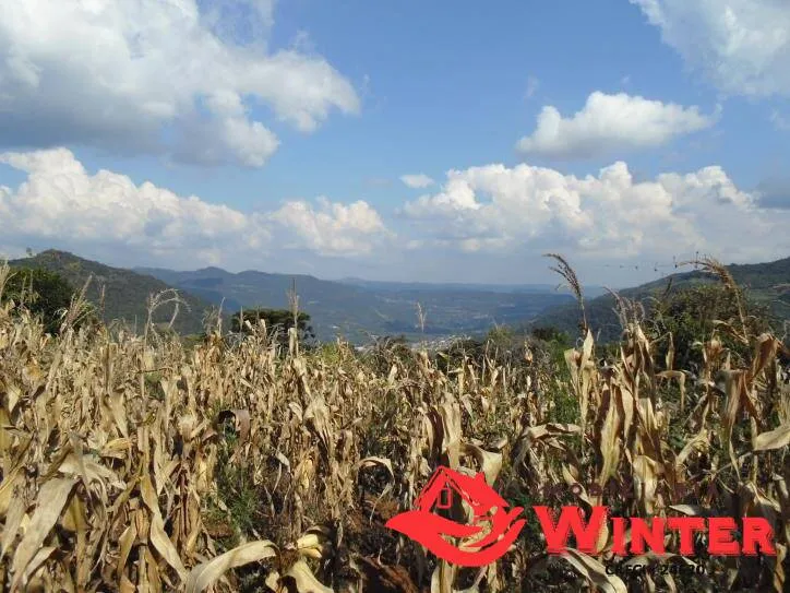 Imagem Bela chácara com 15 hectares no Morro Gaúcho, Vale Real.