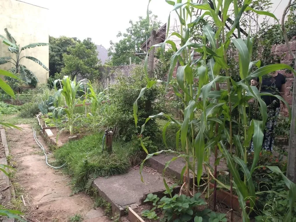 Imagem Terreno em Marechal Rondon