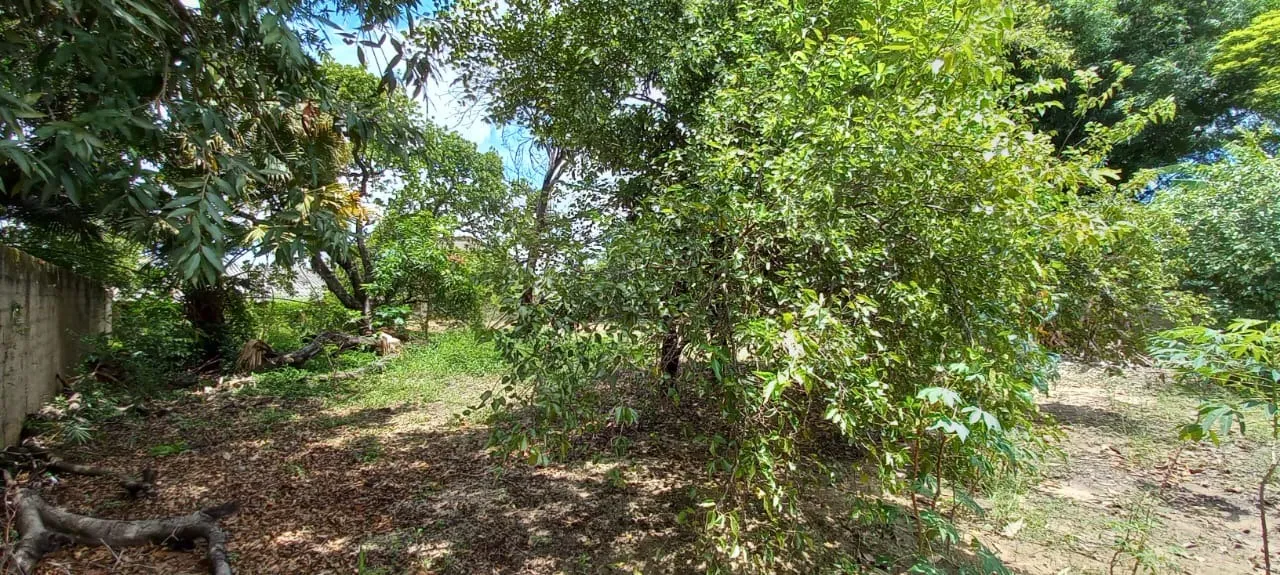 Imagem Terreno 1.500m² no Bairro Jardim Pagliato- Sorocaba próximo ao Campolim