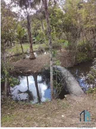Imagem Chácara 12.650 mil m², com Pomar, lagoa com peixes no Bairro Paciência em Itajaí SC
