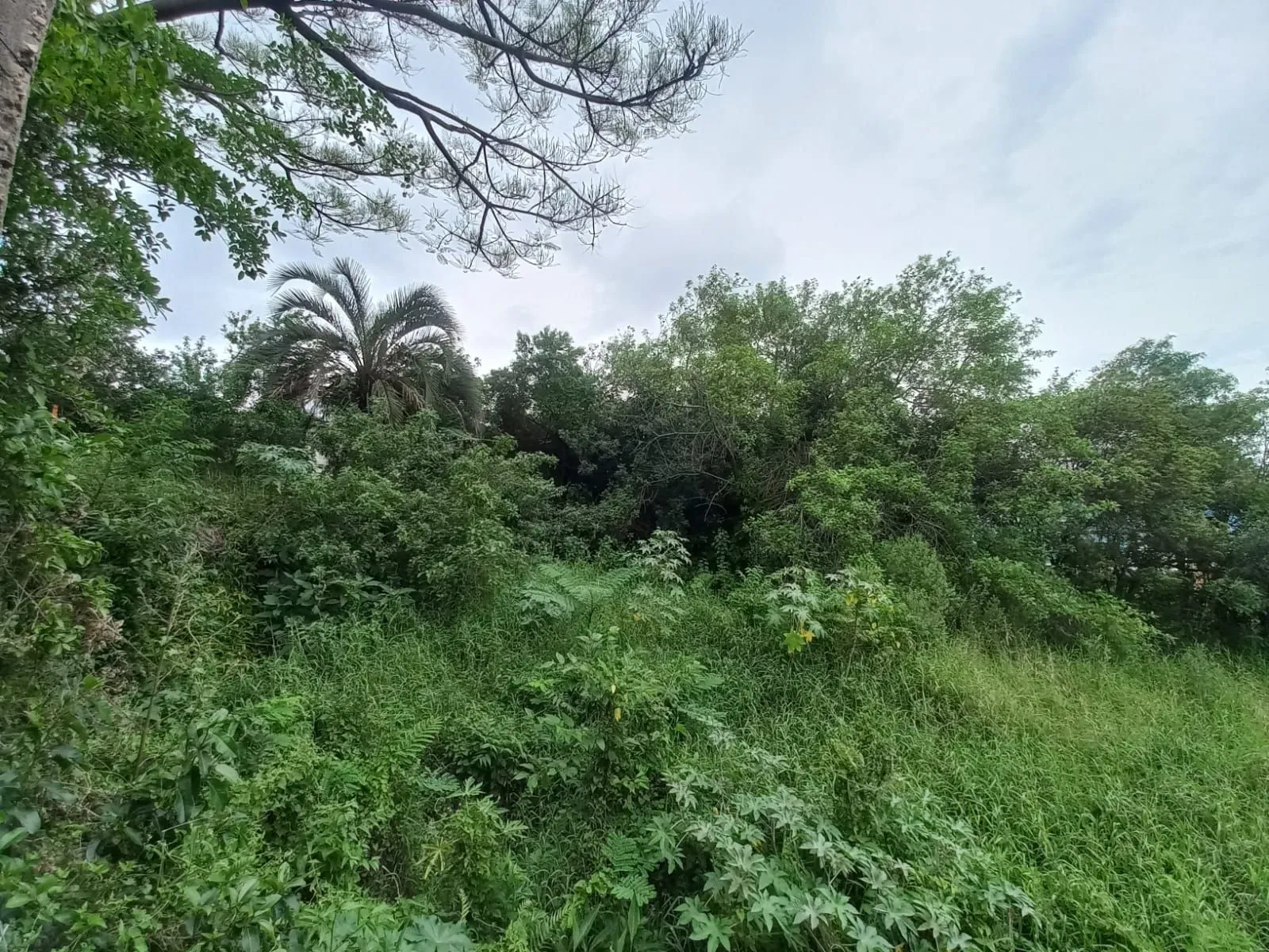Imagem Terreno com Projeto Aprovado para 33 sobrados na Zona Sul de Porto Alegre