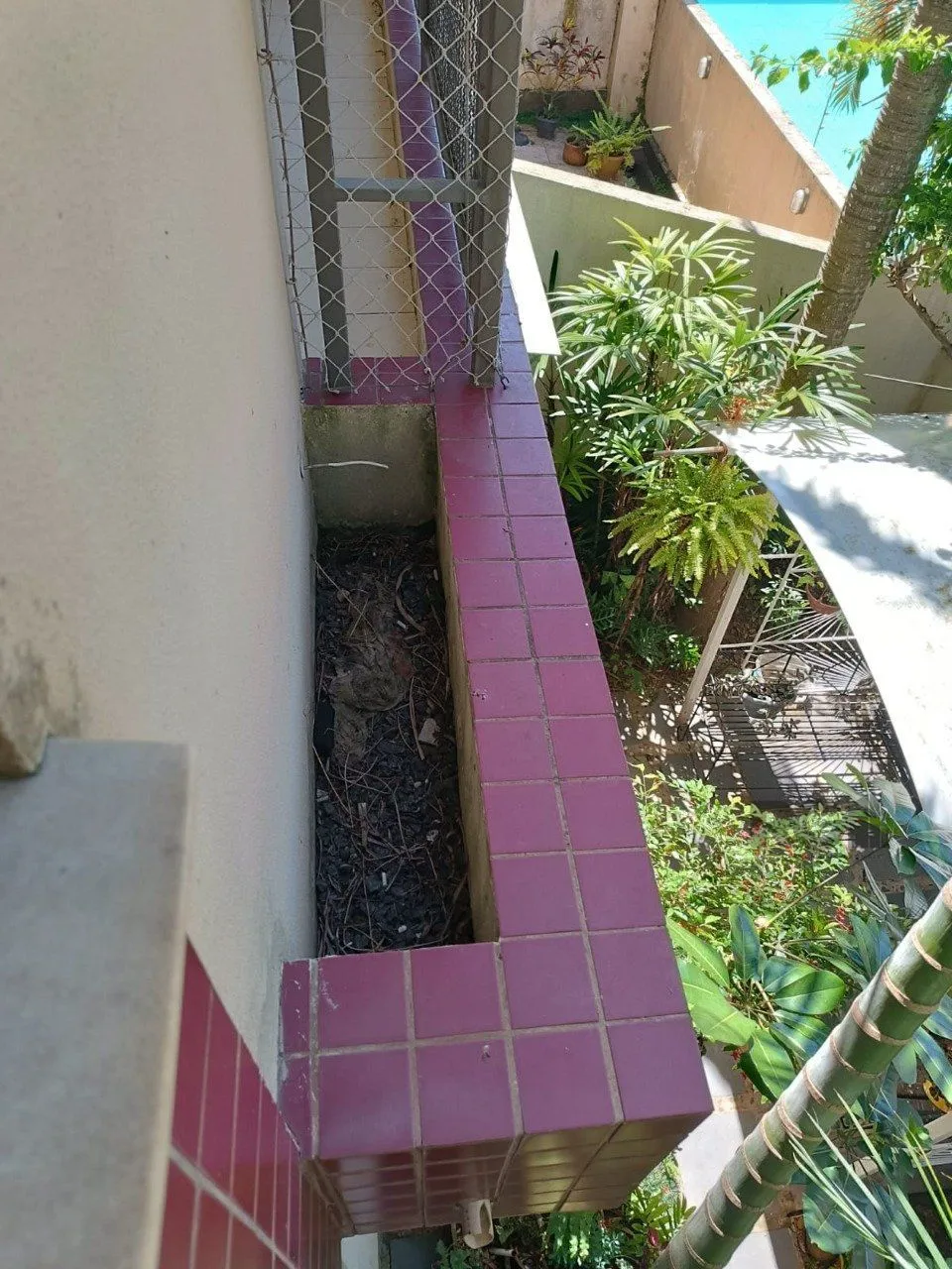 Imagem Apartamento para Venda 2 dormitórios, 1 vaga - Jardim do Salso
