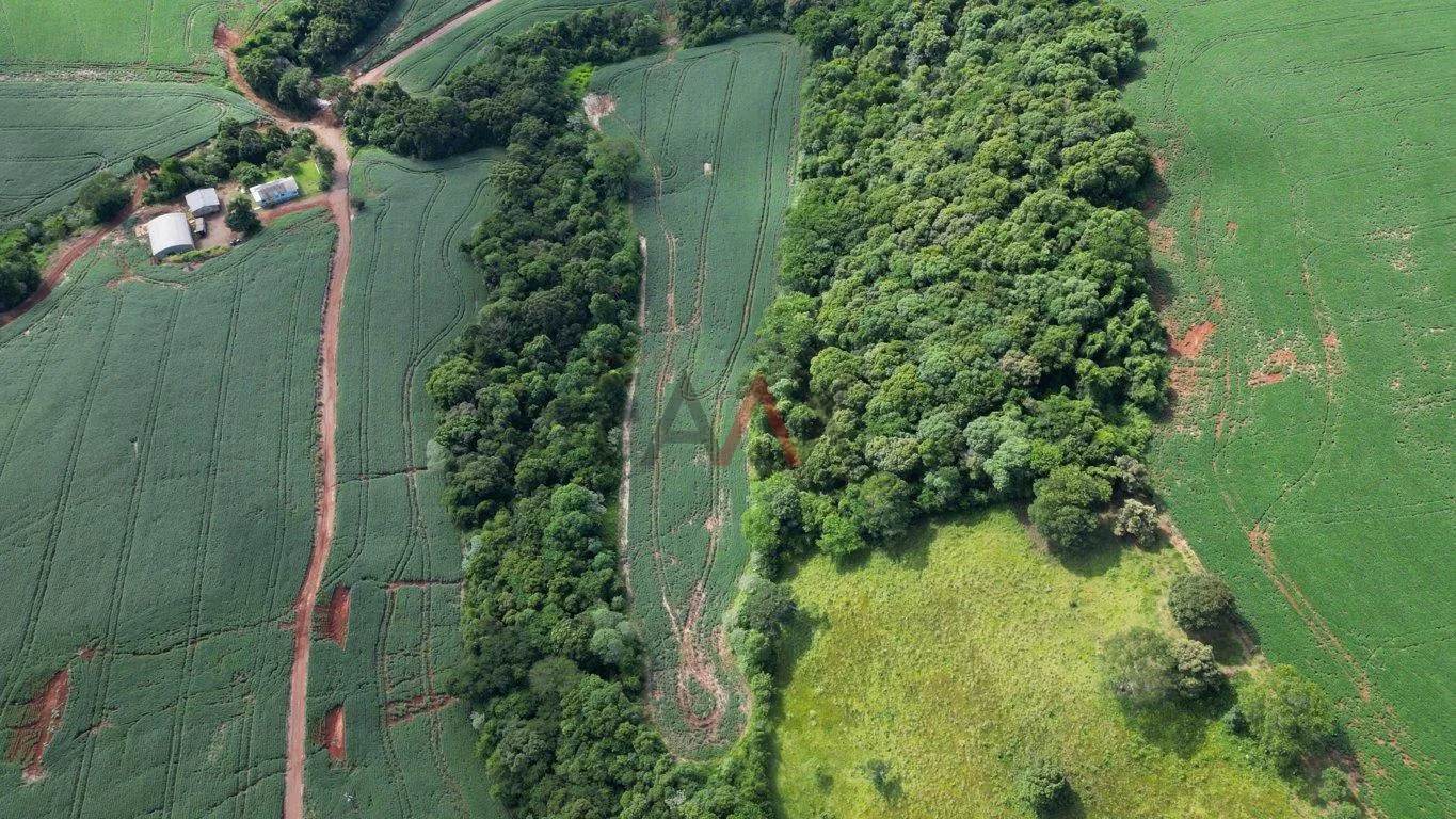 Imagem Àrea de plantio a venda em PITANGA - PR, 12ha sendo 10ha de plantio.