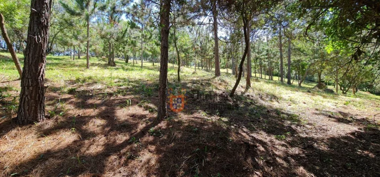 Imagem Terreno à venda, 20000 m² por R$ 1.490.000 - Pinheirinho - Atibaia/SP