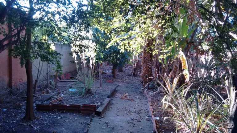 Imagem Casa Padrão