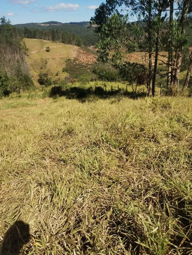 Imagem Excelente Terreno à Venda em Piranga/MG: 36 Hectares com Rica Infraestrutura