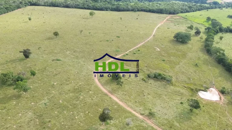 Imagem Fazenda 10 Alqs dupla aptidão em Hidrolândia