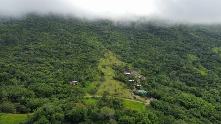Imagem Terreno à Venda com Vista para o Mar e Lagoa do Macacu - 9,3 Hectares em Garopaba-SC!