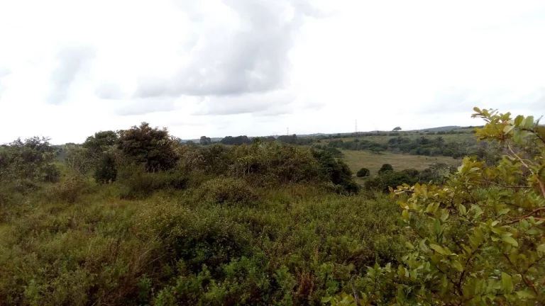 Imagem ÁREA EM CAMAÇARI