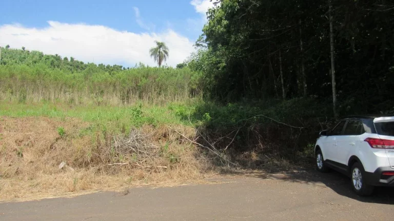 Imagem Terreno para Venda em Concórdia, Rural