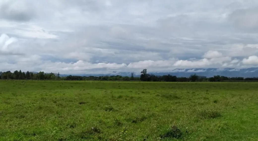 Imagem Chácara à venda 20000M², Cruz Pequena, Pindamonhangaba - SP