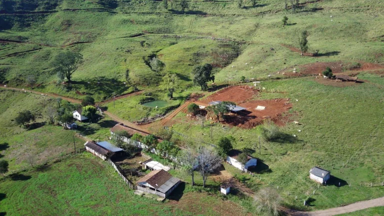 Foto do imóvel Fazenda para Venda em Concórdia, Interior em Linha São Paulo
