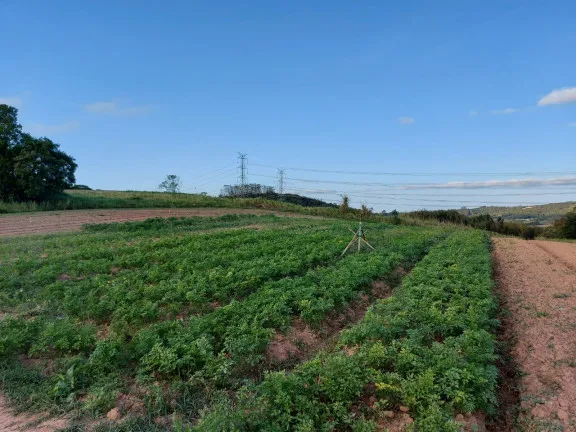 Imagem Terreno à Venda, 500 m² em Jardim Felicidade (Zona Norte) - São Paulo