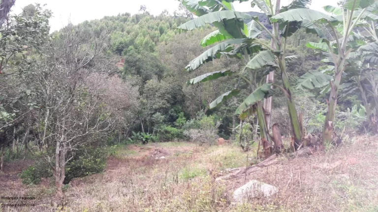 Imagem SITIO RURAL em CALDAS - MG, LARANJEIRAS DE CALDAS