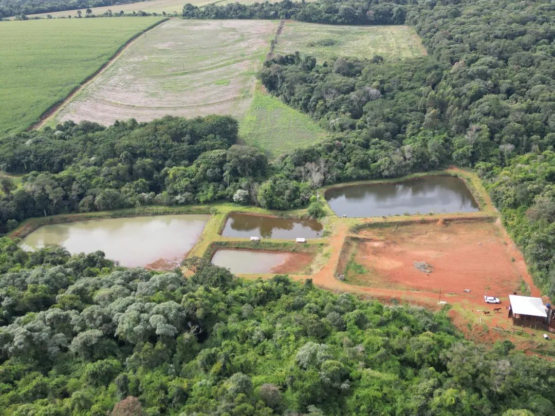 Imagem Chácara à venda em Cascavel, Centro - Casa de caseiro, Rio e Lago para pesca