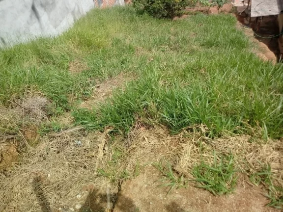 Foto do imóvel Terreno Terra Preta ao lado do asfalto escritura só R$ 120 mil!