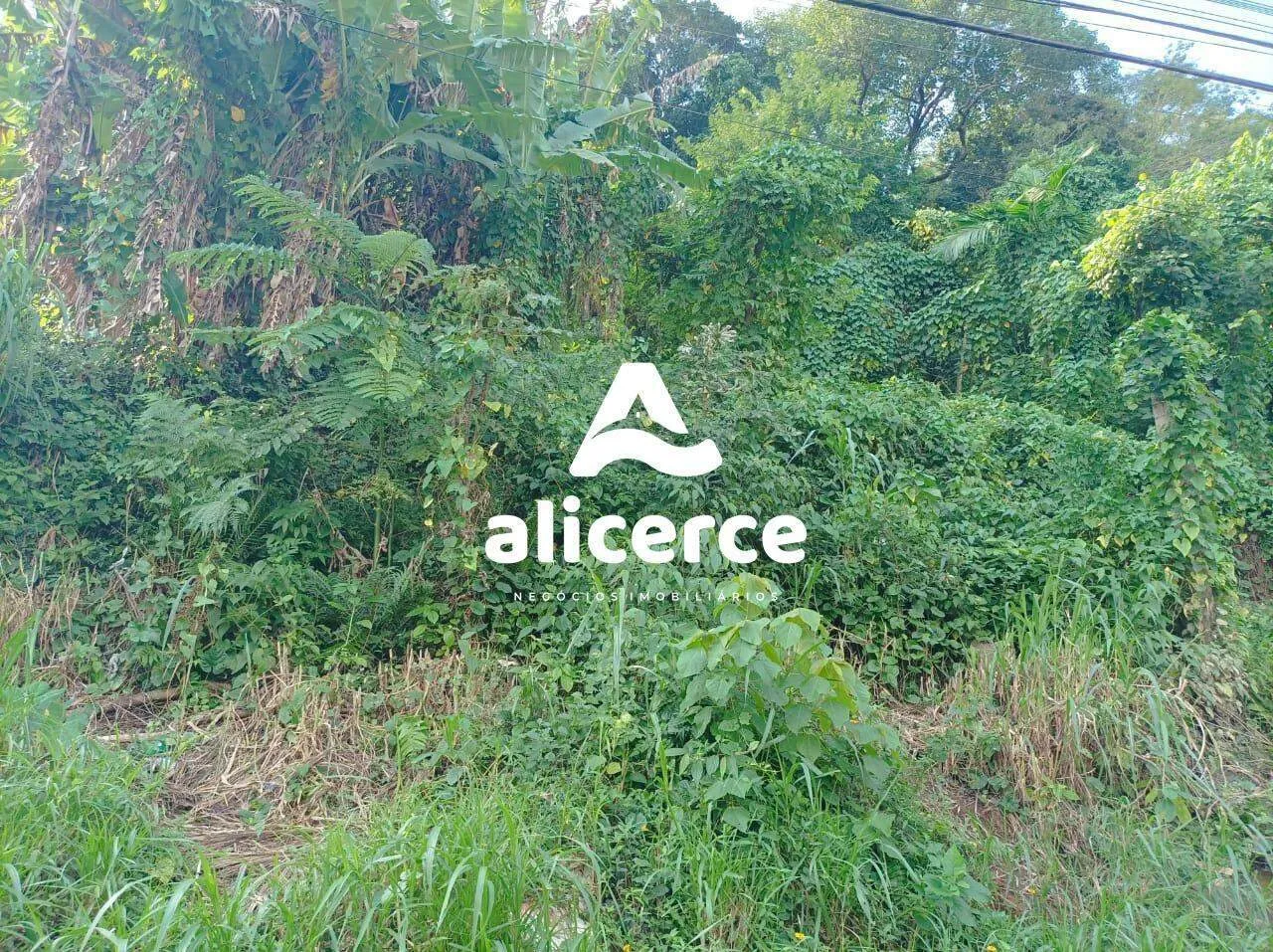 Imagem Terreno á venda l 1000m² l Costeira do Pirajubaé - Florianópolis/SC