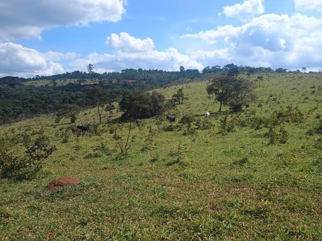 Imagem Excelente terreno rural com área de 10 hectares a venda em PASSA TEMPO/MG