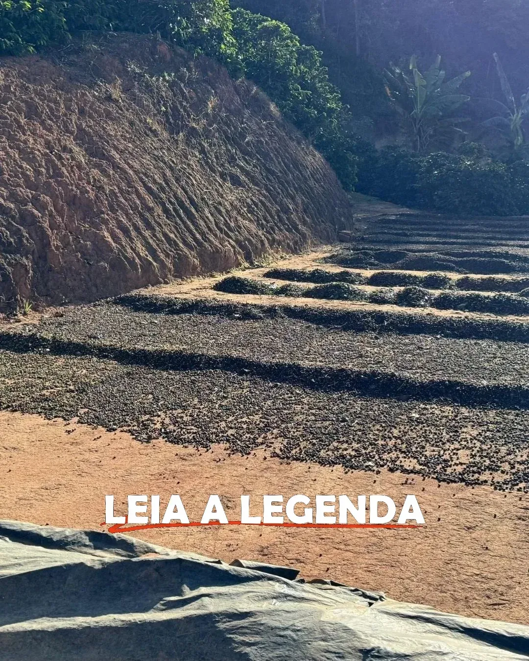 Imagem Imóvel
