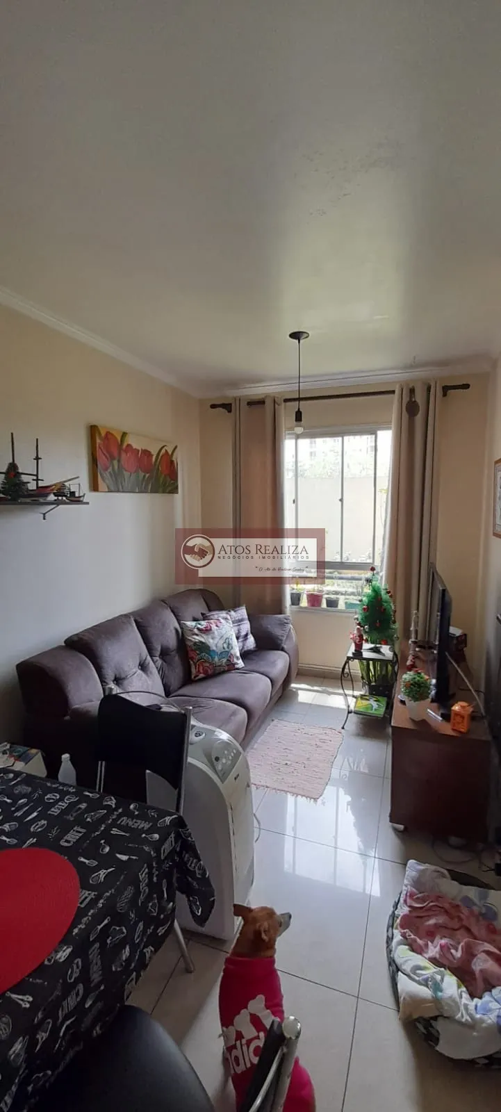 Imagem Apartamento em Vila Arriete - São Paulo