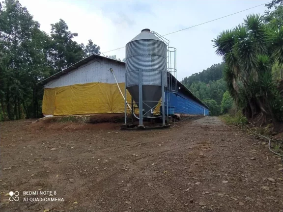 Imagem Área Agrícola para Venda em Lindóia do Sul, Interior