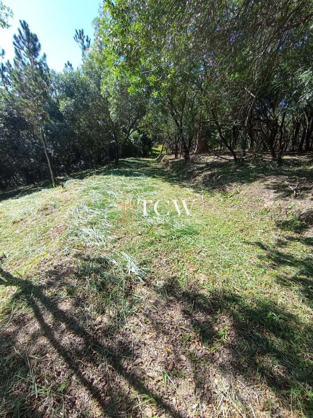 Imagem Terreno em Loteamento | 20.000m2 | ATIBAIA/SP