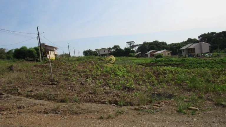 Foto do imóvel Terreno para Venda em Concórdia, Rural em Planalto Concórdia Sc