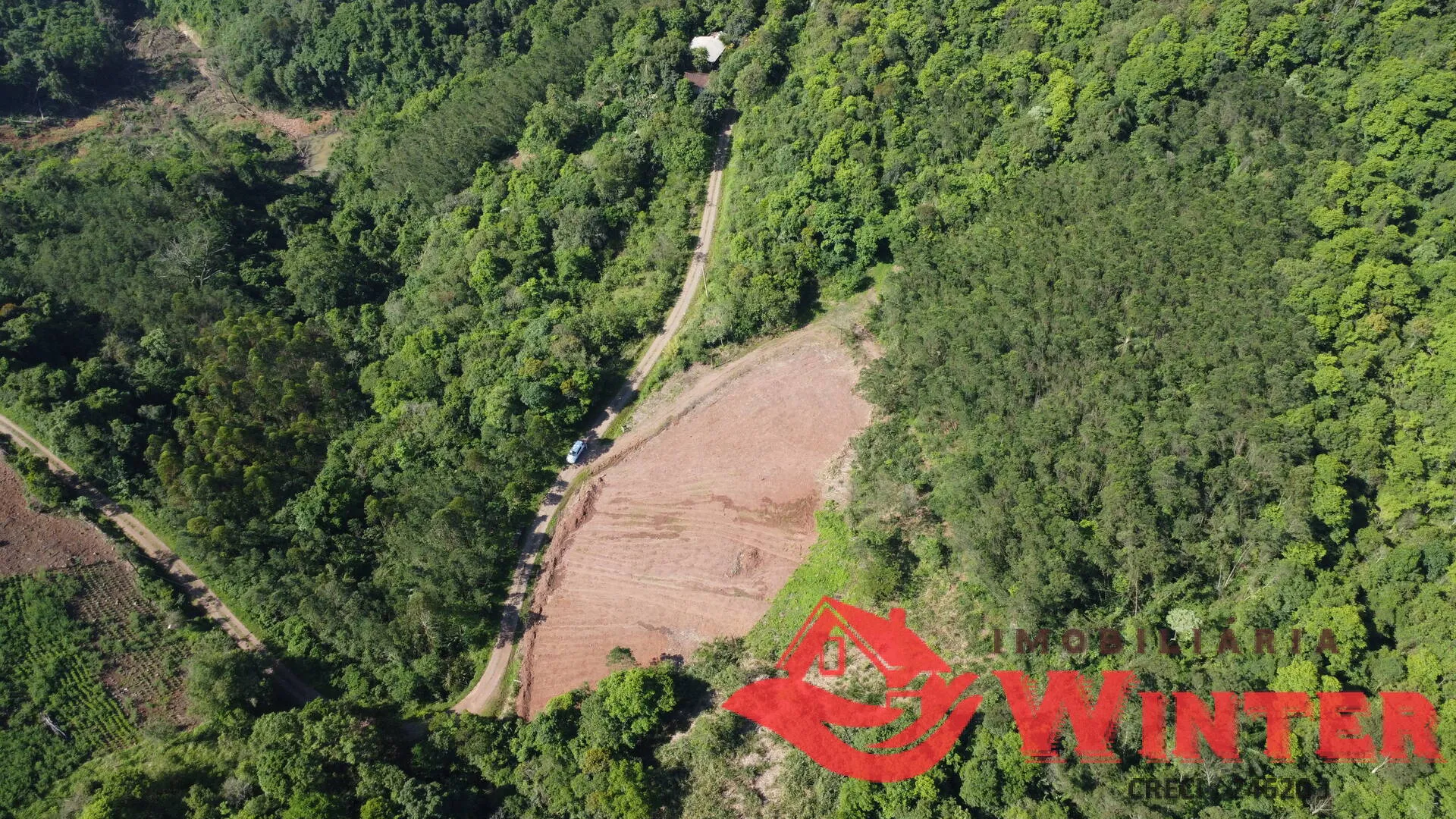 Imagem Área de terras com 10 hectares em Linha Nova
