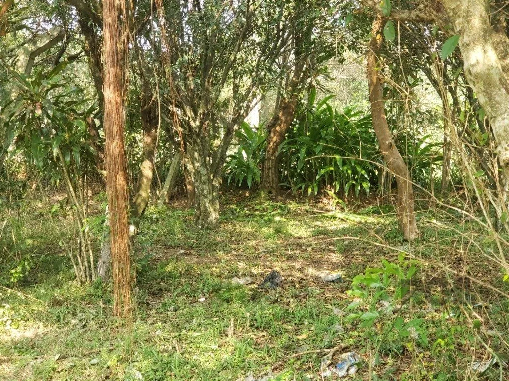 Imagem Terreno em Vila Nova