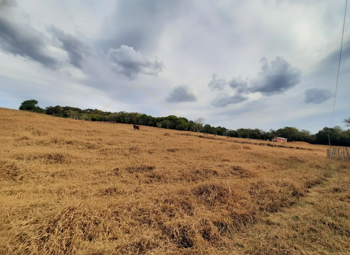 Imagem Gleba 23.800 m² à venda em Correias, Bandeira do Sul