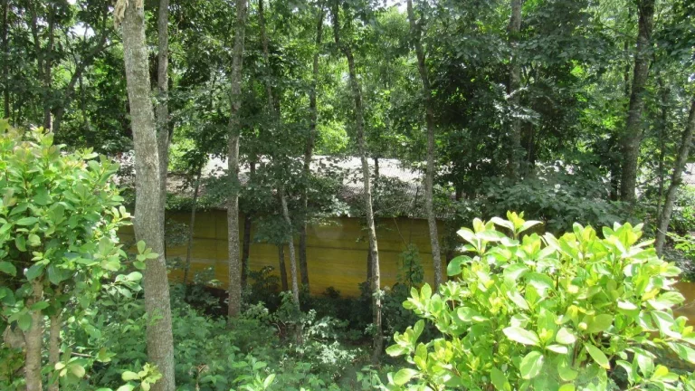 Imagem Área Agrícola para Venda em Concórdia, Linha Sertão
