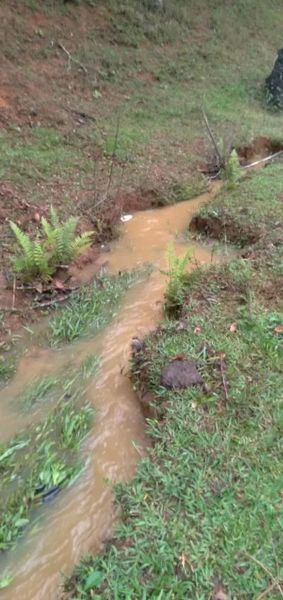 Imagem Vendo um belíssimo sítio em Crucilândia/MG, com 15.000 m² de terreno