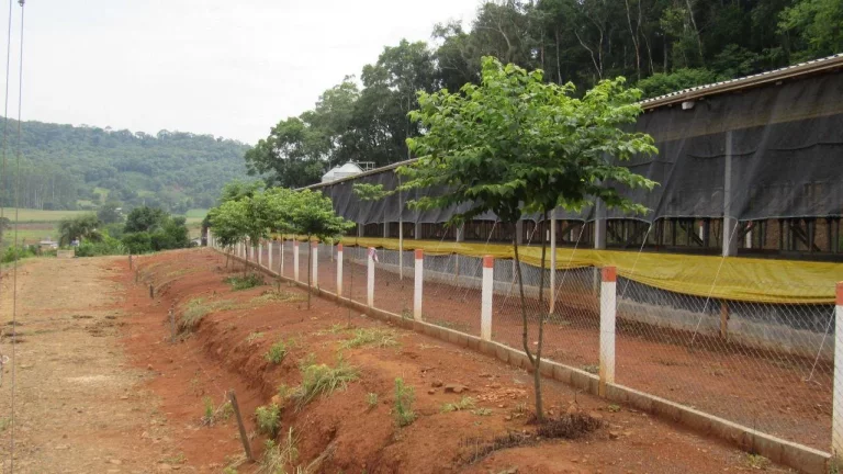 Imagem Área Agrícola para Venda em Peritiba, Lageado Mirim