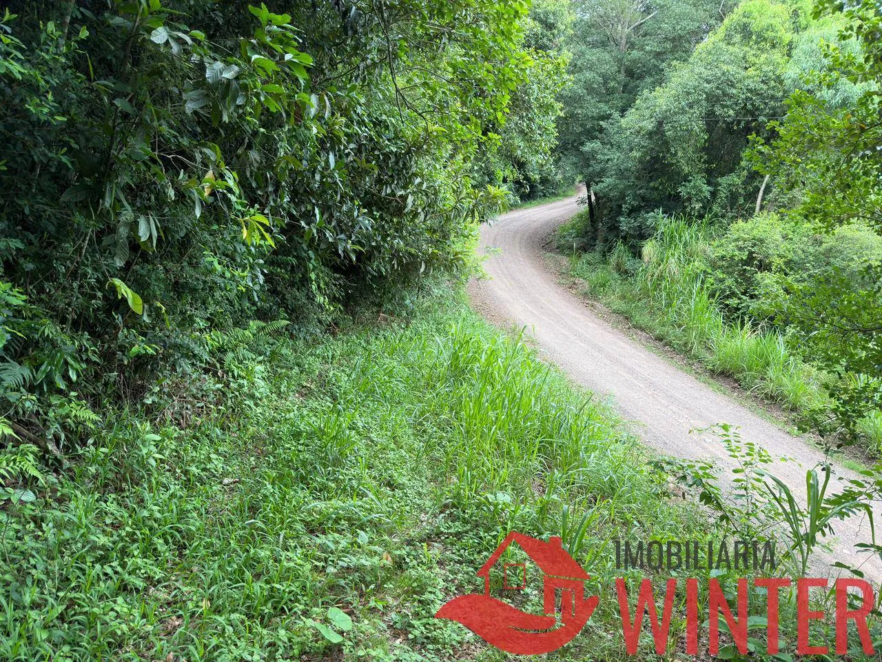 Imagem Area com 10.571 m2 no São Roque, Feliz