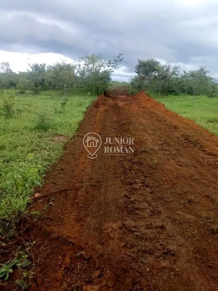 Imagem FAZENDA - 91,5 HECTARES - CRISTOPOLIS/BA