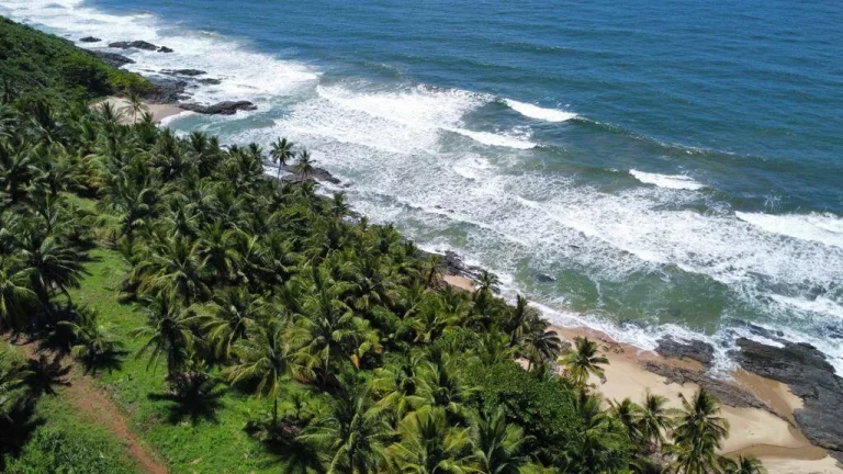 Natureza Serra Grande