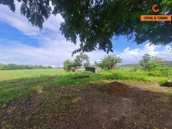 Imagem TERRENO EM BARRA DE POJUCA - LINHA VERDE
