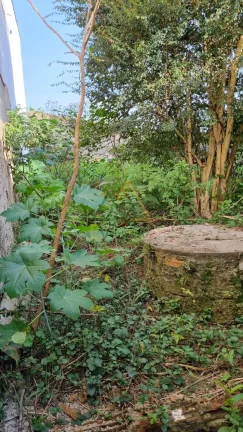 Imagem Terreno à venda Iguaçu Fazenda Rio Grande PR