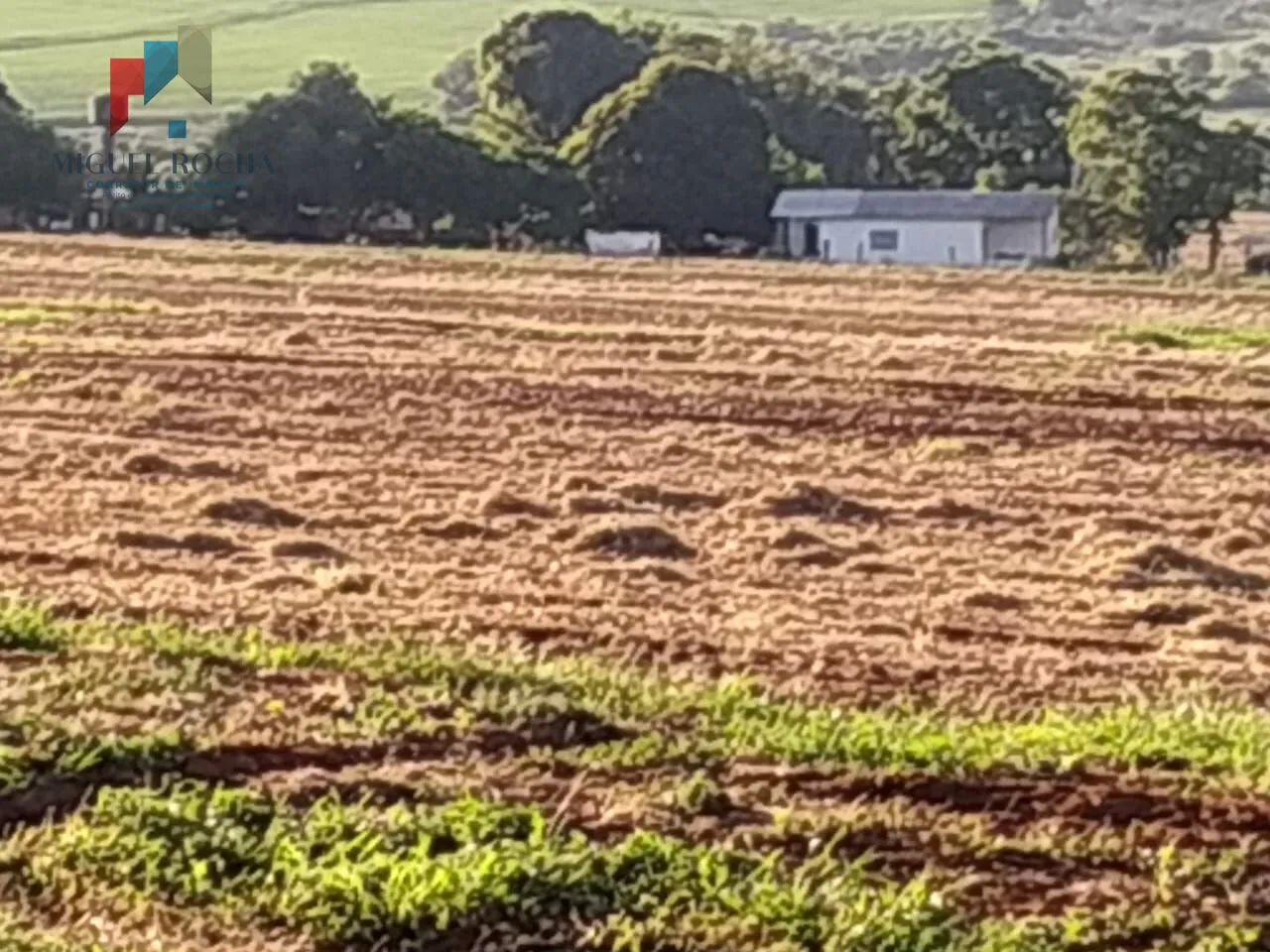 Imagem Sítio em Itapeva/SP