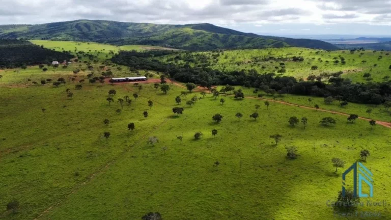 Imagem Fazenda com 168 alqueires goianos - 813 Hectares; - Município de Cocalzinho de Goiás GO
