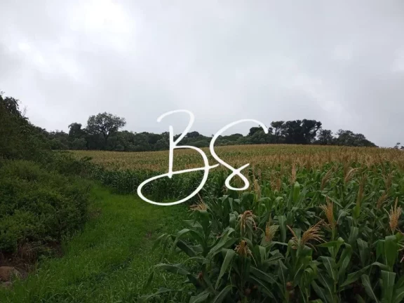 Imagem SITIO RURAL em SANTA MARIA DO HERVAL - RS, Alto Padre Eterno